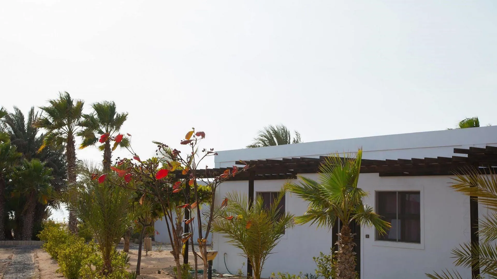 *** Hotel Vilas Praia De Chaves Rabil Cape Verde